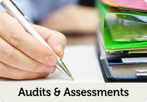 audits and assessments