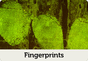 fingerprints