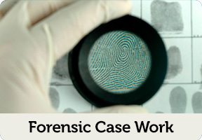 forensic case work