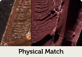 physical match