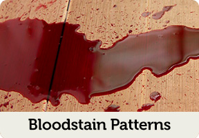 bloodstain patterns