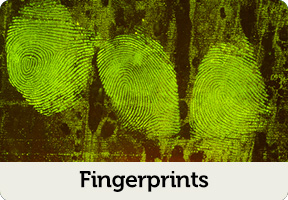 fingerprint forensics