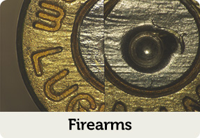 firearms