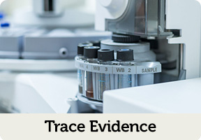 trace evidence